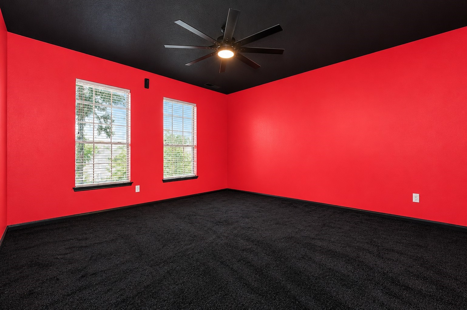 4903 Timber Path Drive Property Photo 9