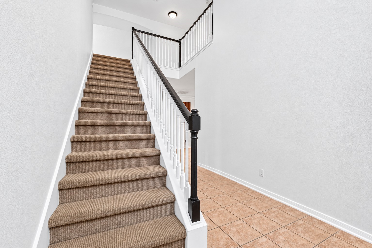 4903 Timber Path Drive Property Photo 17