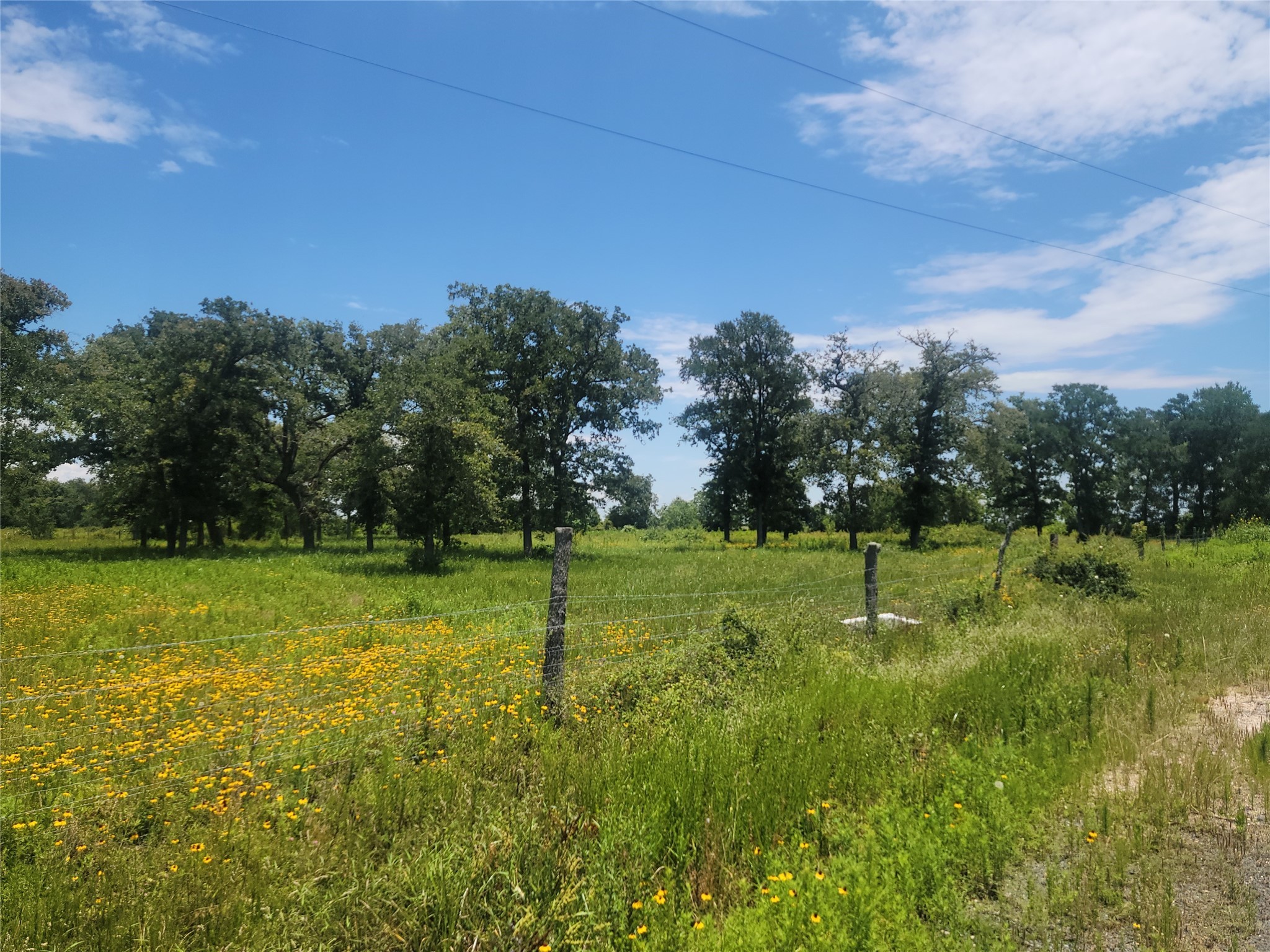 323 Summit Road Property Photo 8