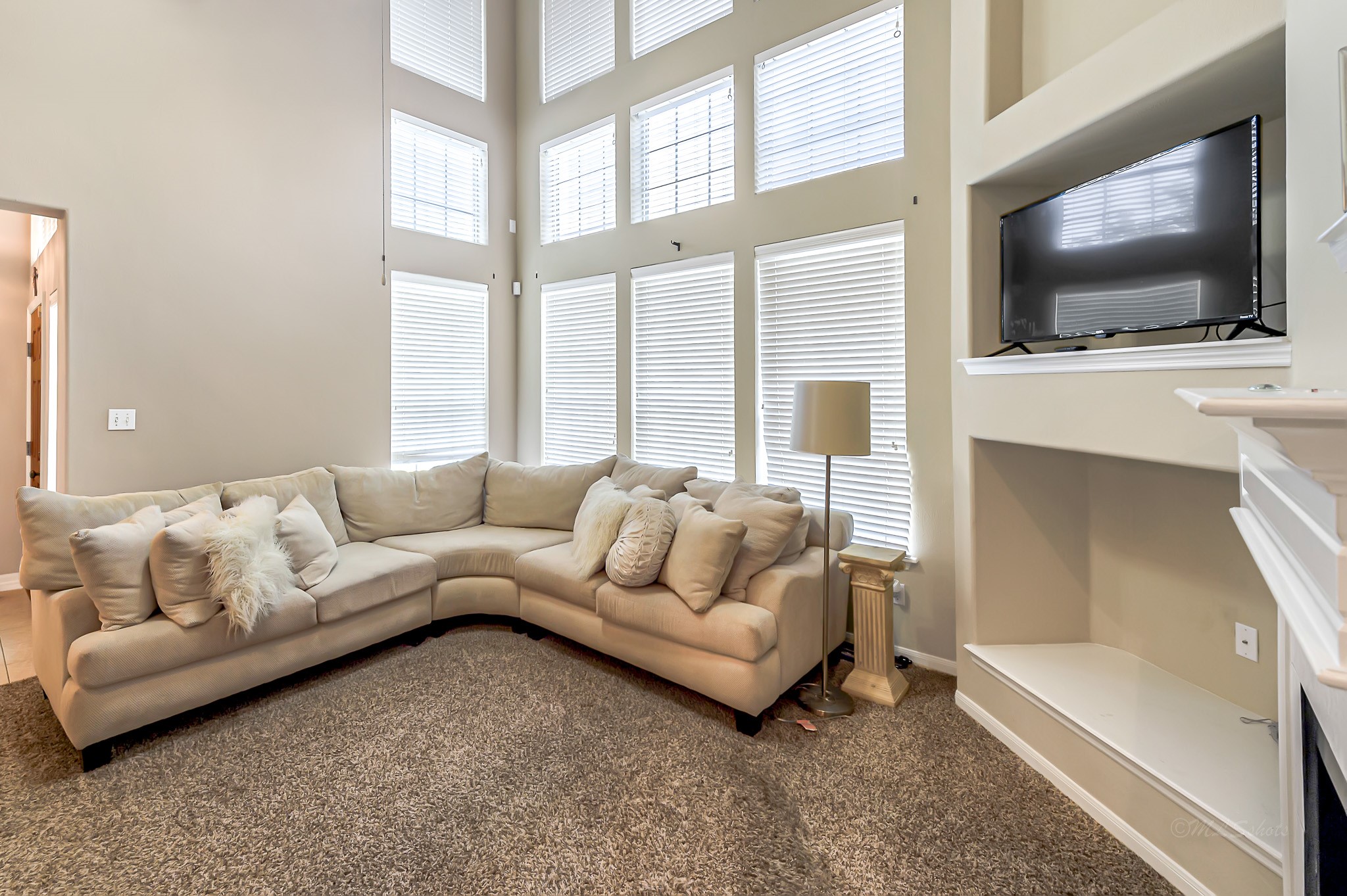 10210 Thornmont Lane Property Photo 7