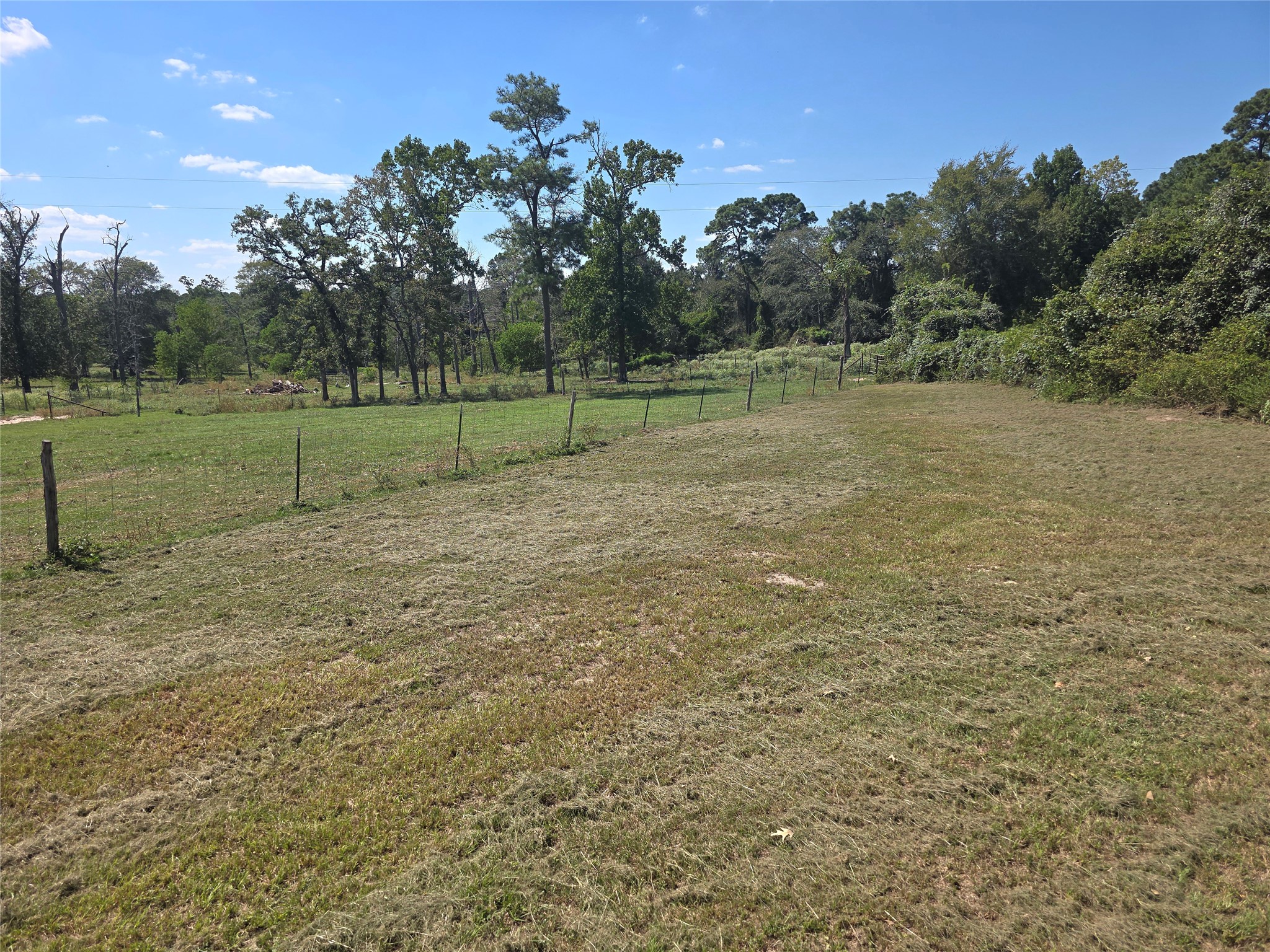 14525 Urbanosky Lane Property Photo 10