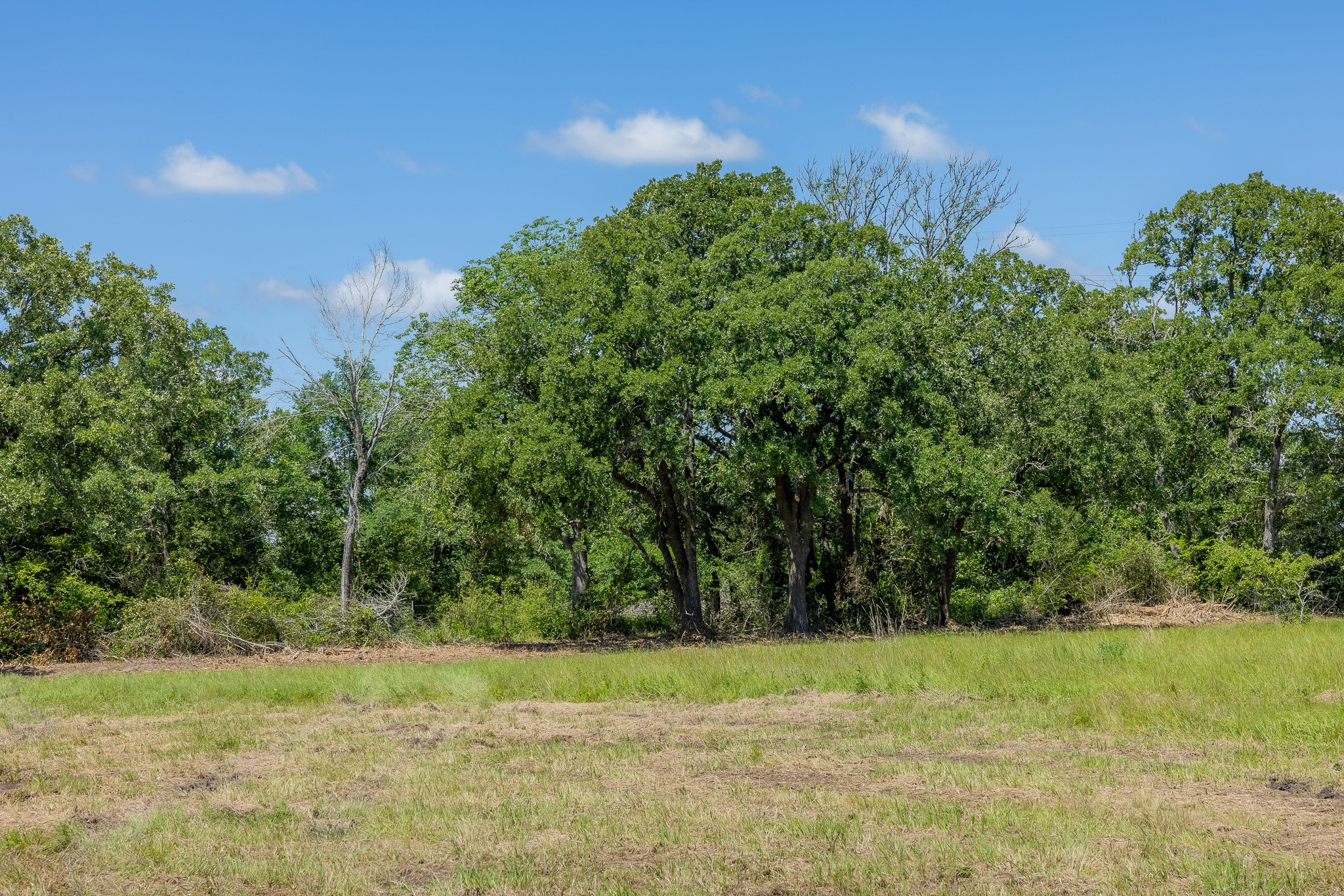 6501 Atakapan Trail Property Photo 2