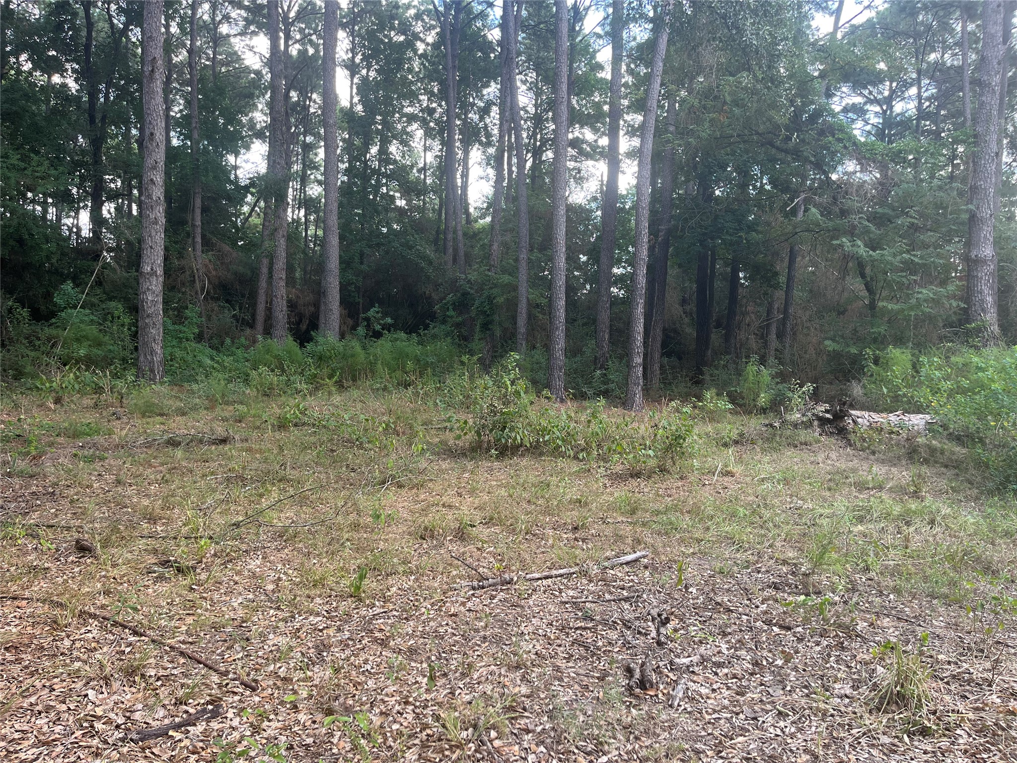 000 Hardy Road Property Photo 1