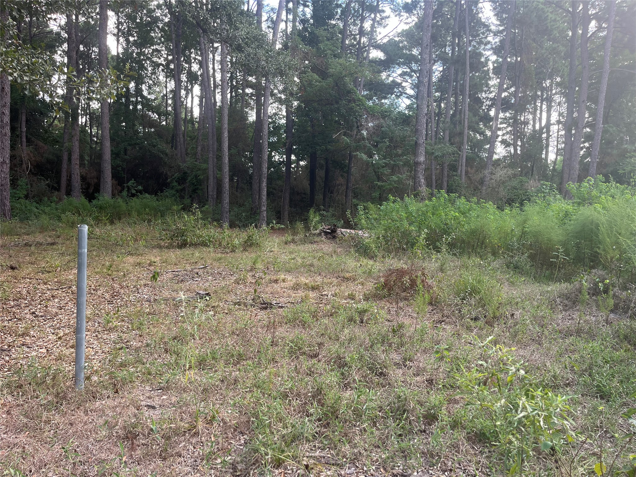 000 Hardy Road Property Photo 3