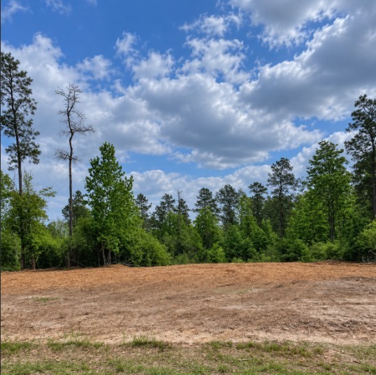11544 Inspiration Drive Property Photo 2