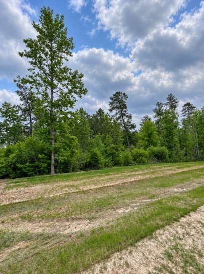 11544 Inspiration Drive Property Photo 4
