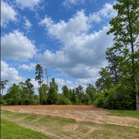 11544 Inspiration Drive Property Photo 5