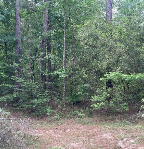 11544 Inspiration Drive Property Photo 6