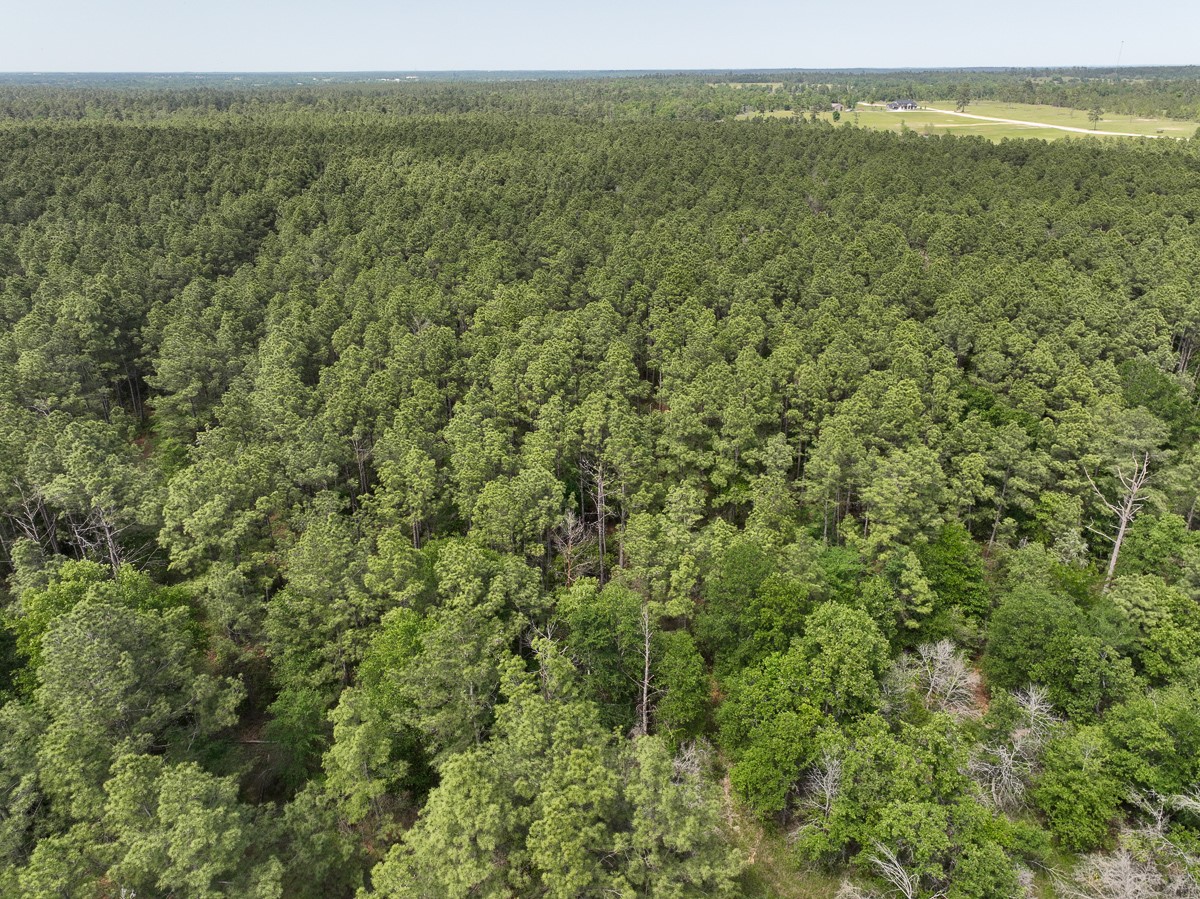 1 Round Prairie Road Property Photo 2