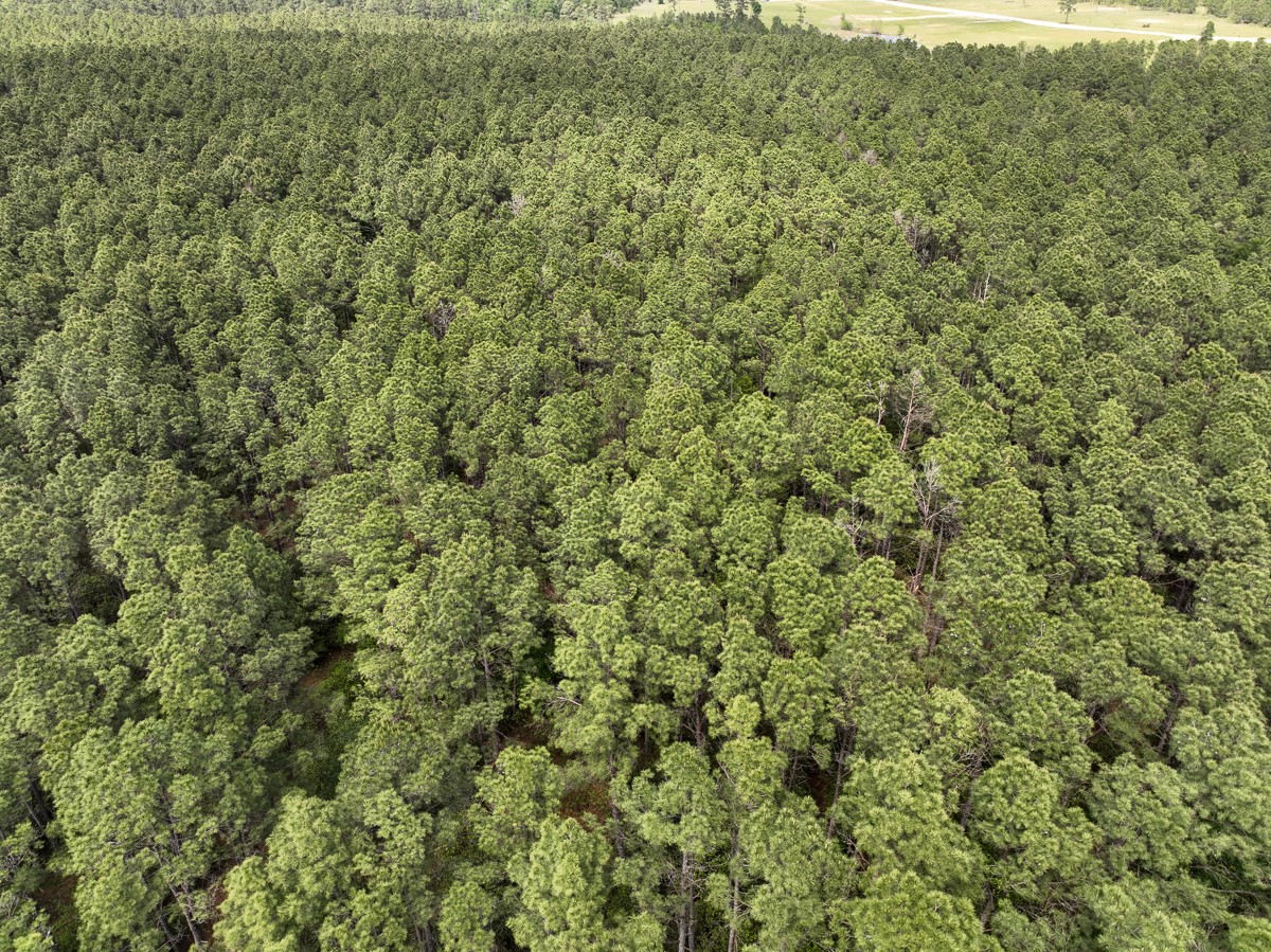 1 Round Prairie Road Property Photo 3