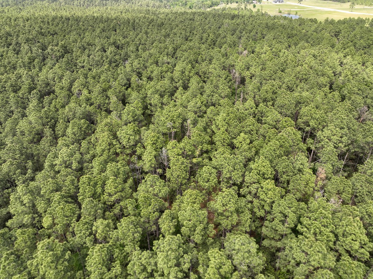 1 Round Prairie Road Property Photo 4