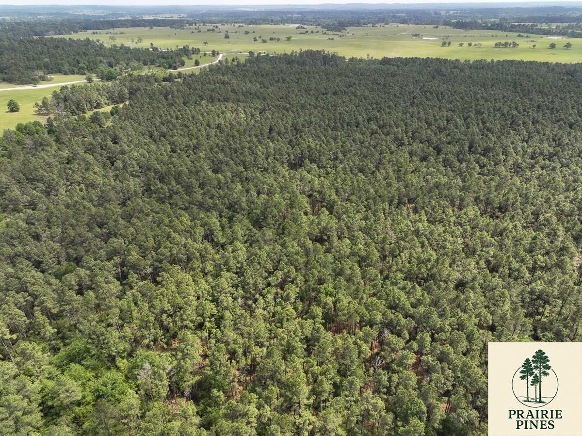 1 Round Prairie Road Property Photo 5