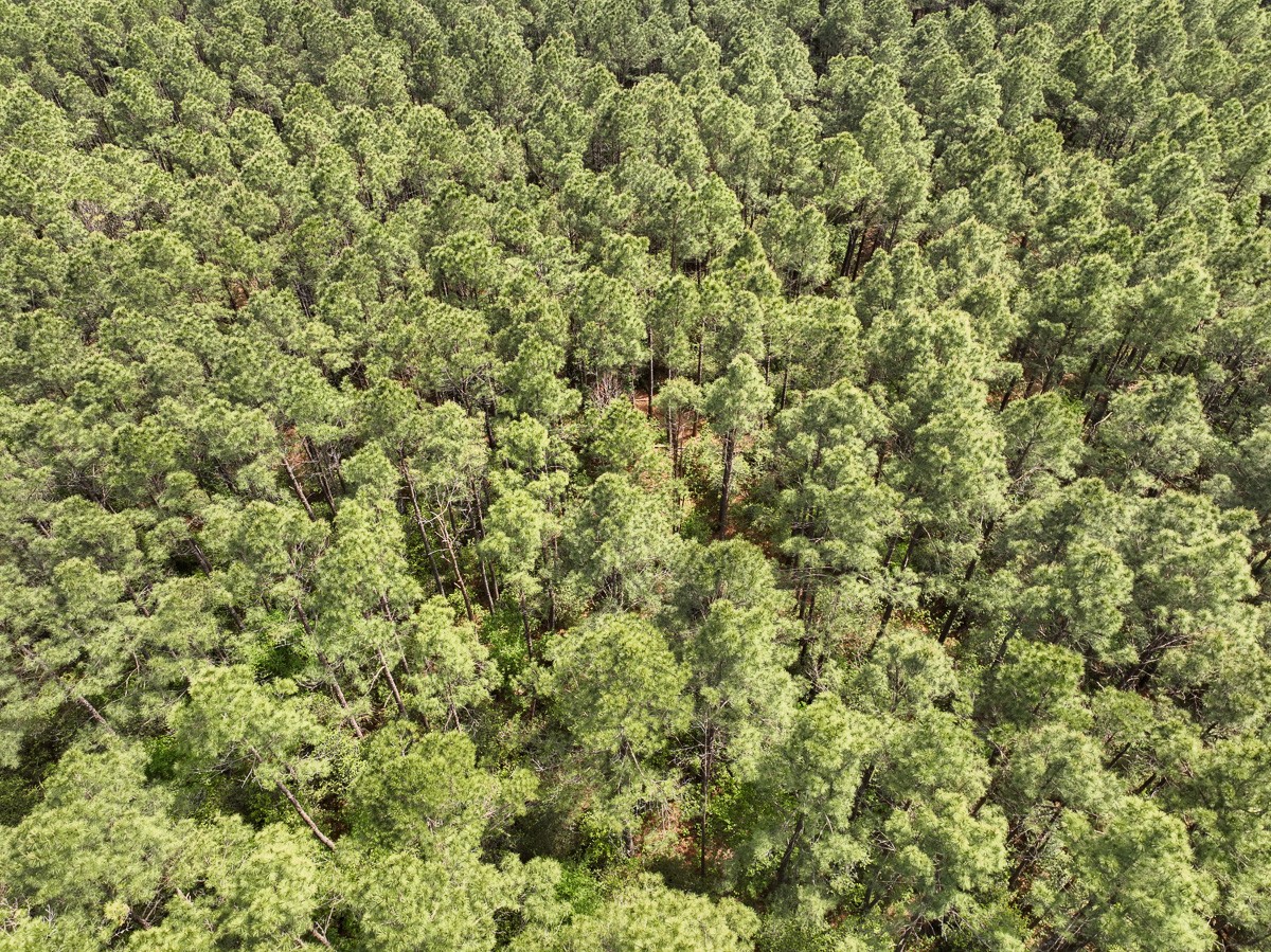 1 Round Prairie Road Property Photo 6