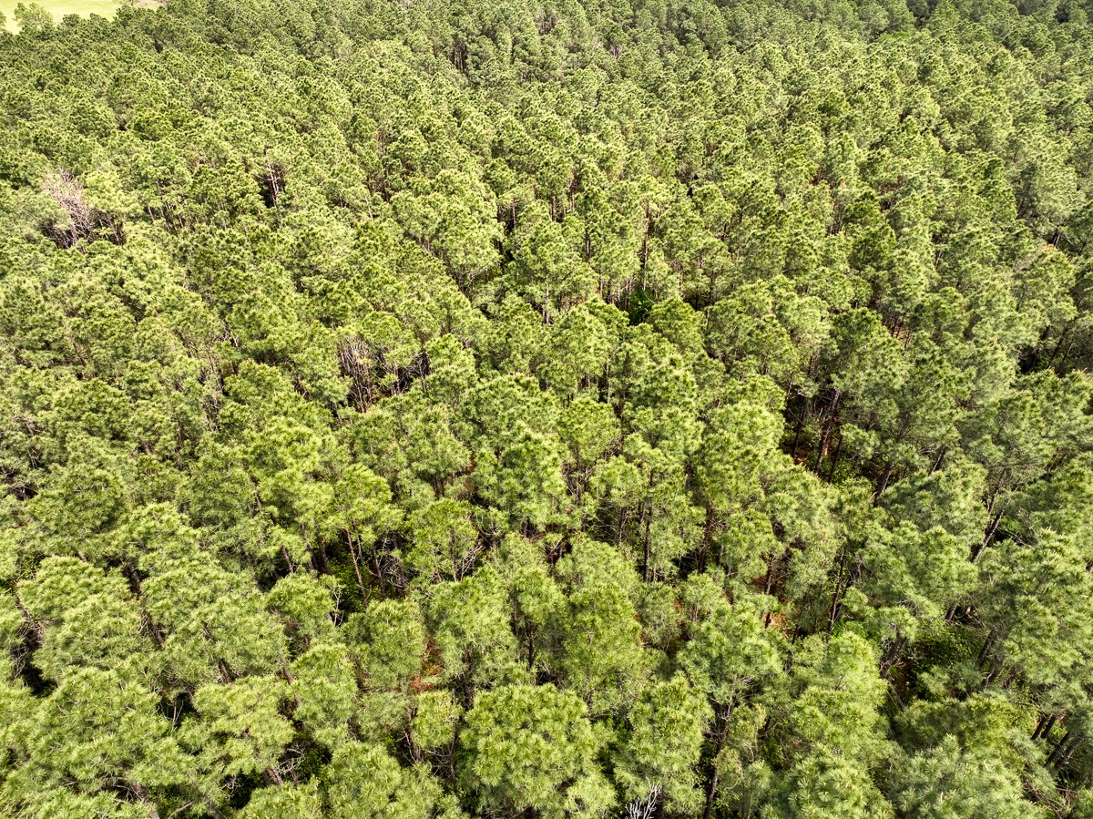 1 Round Prairie Road Property Photo 7