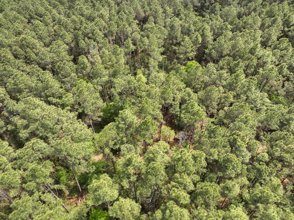 1 Round Prairie Road Property Photo 8