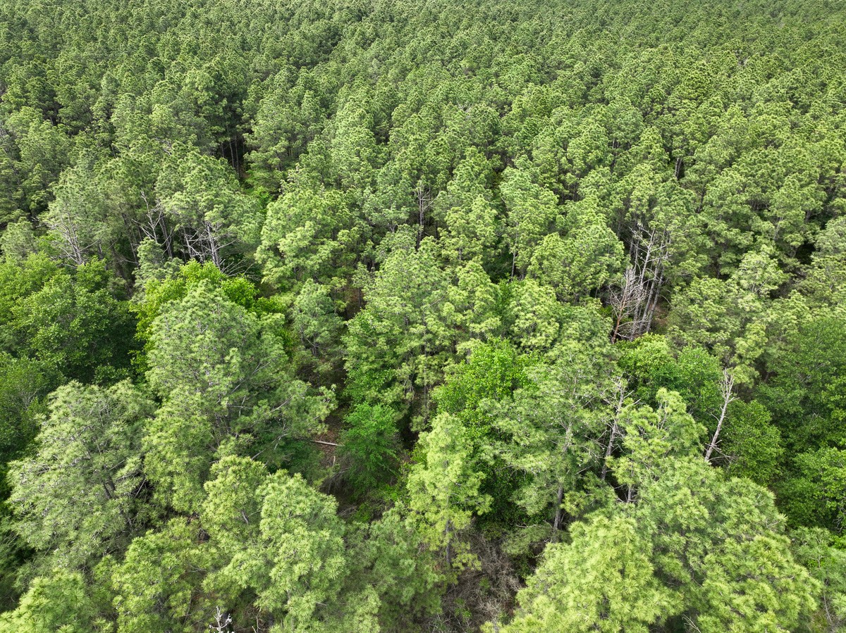 1 Round Prairie Road Property Photo 10