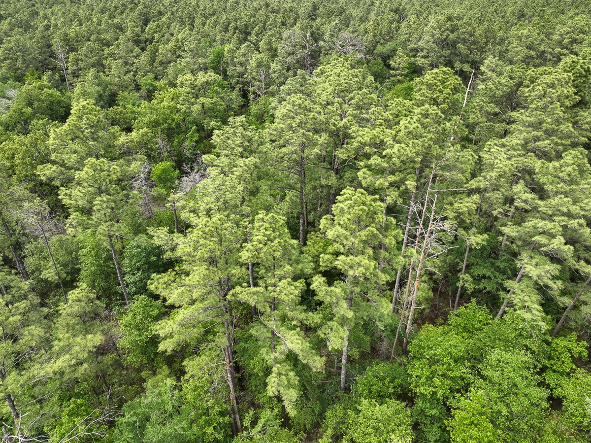 1 Round Prairie Road Property Photo 11