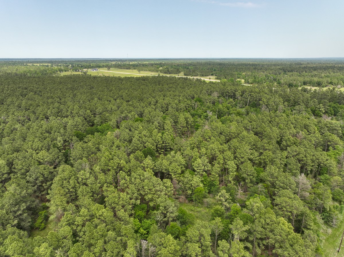 1 Round Prairie Road Property Photo 14