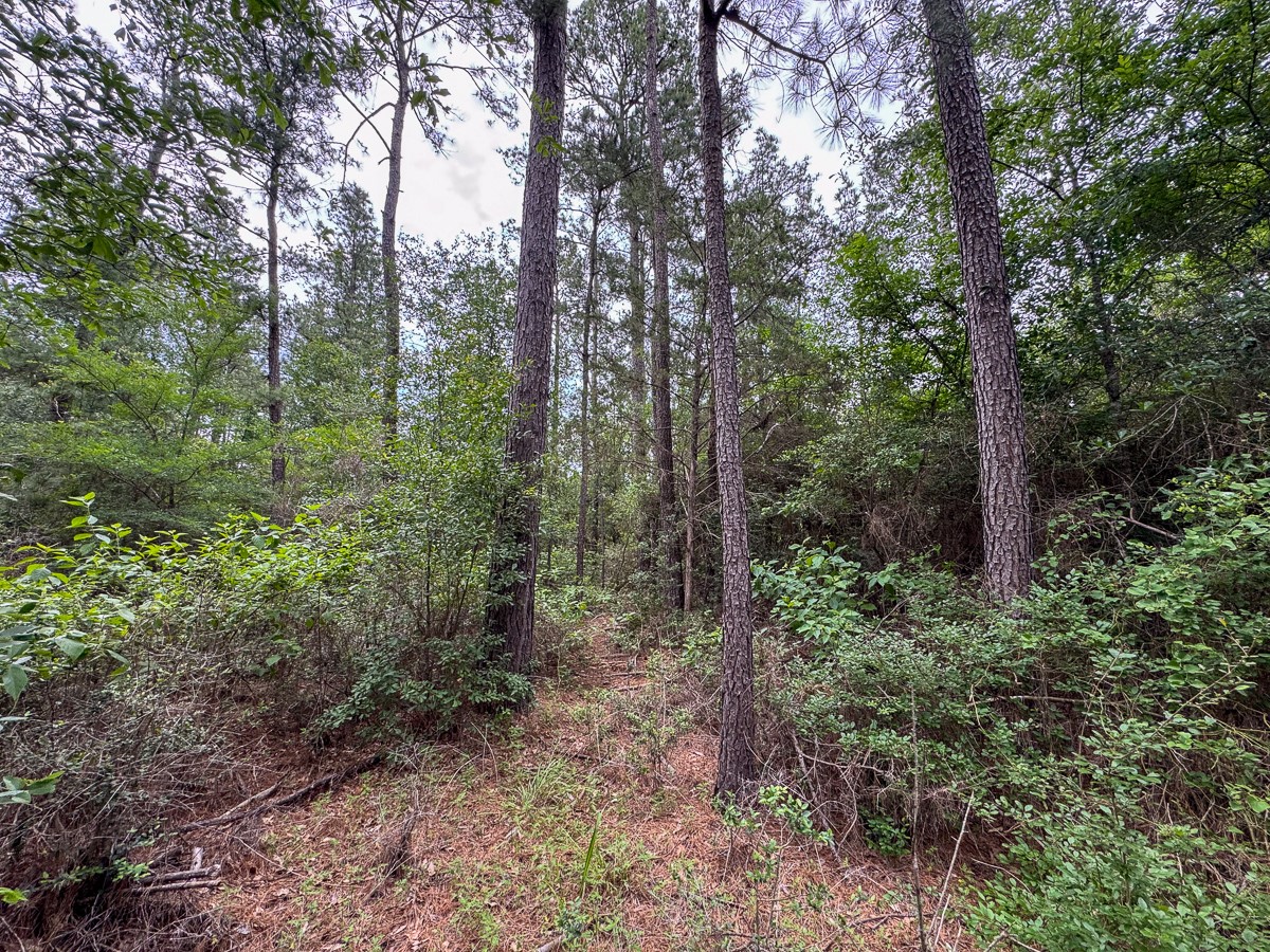 1 Round Prairie Road Property Photo 17