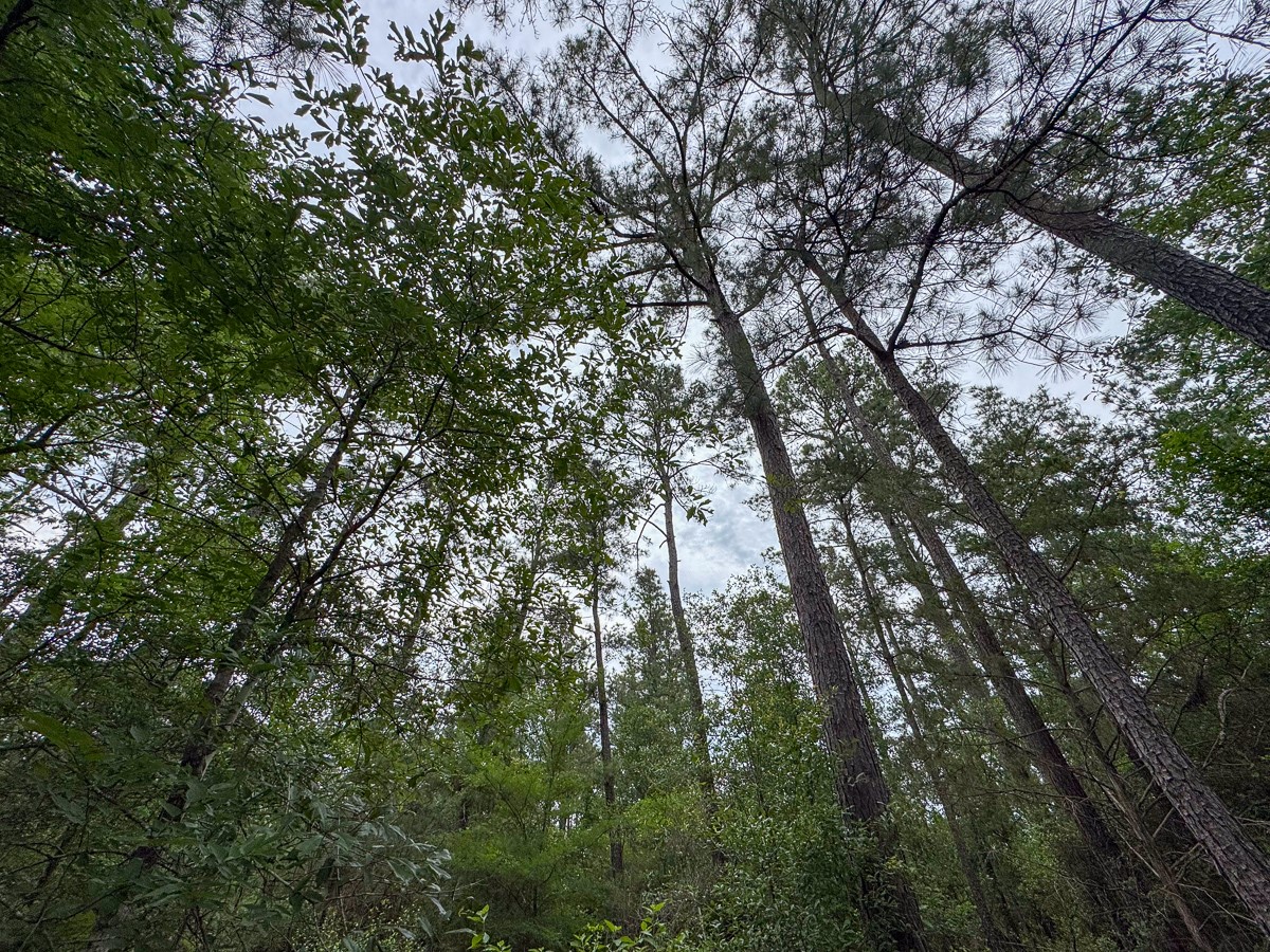 1 Round Prairie Road Property Photo 18