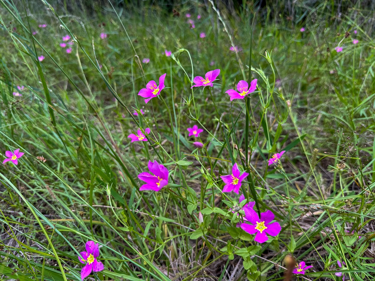 1 Round Prairie Road Property Photo 19