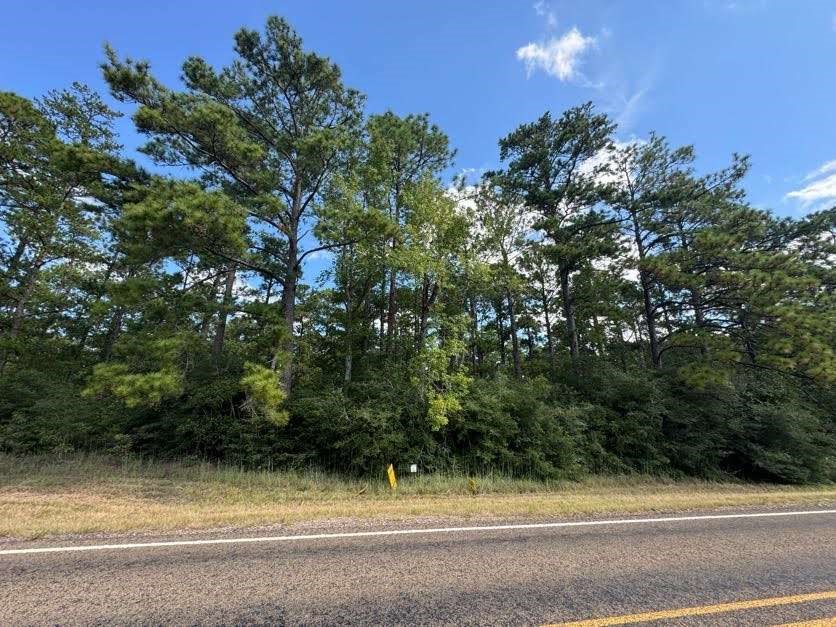 2940 Sam Rayburn Parkway Property Photo 4