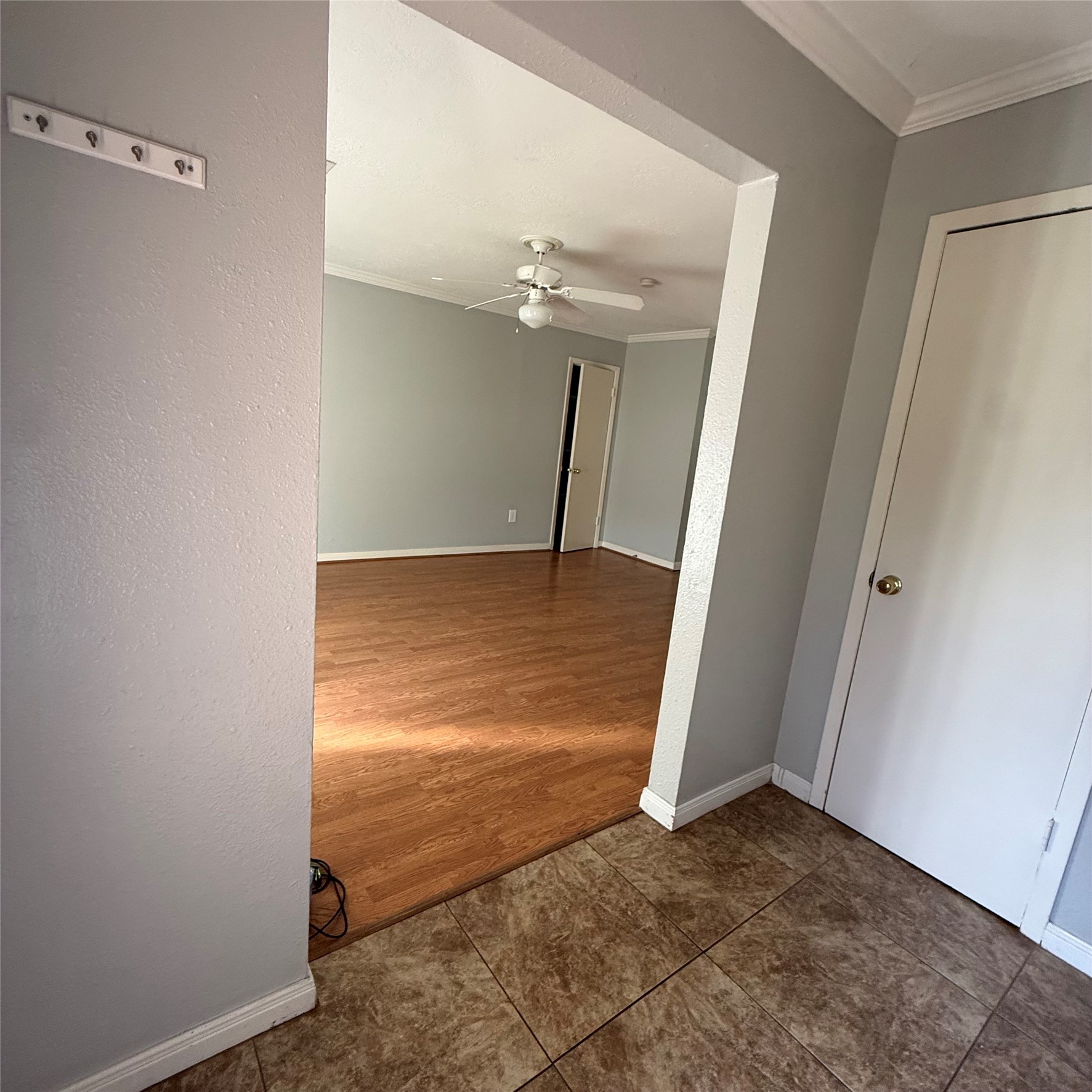 509 Avondale Lane Property Photo 2