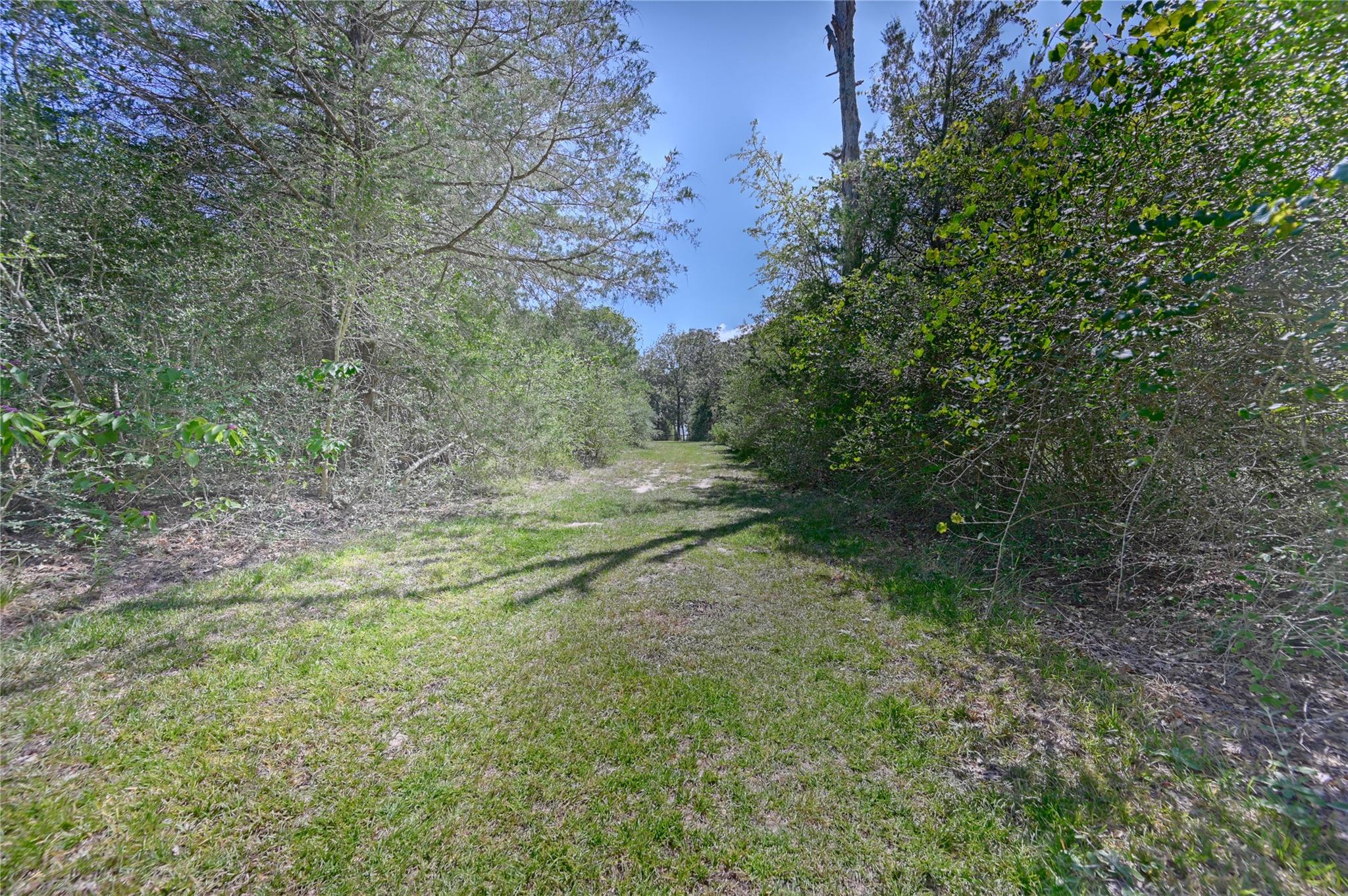 8595 Jared Road, Bellville Tx 77418 Property Photo 41