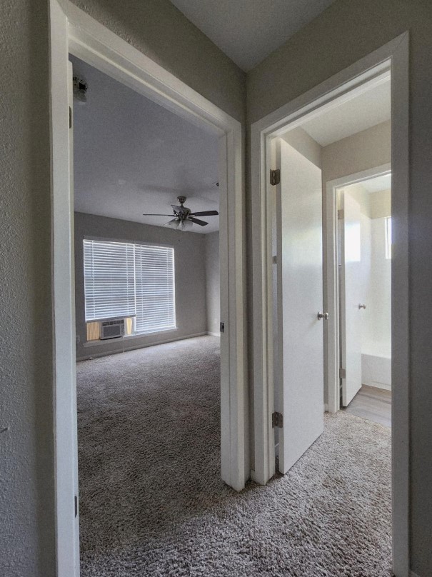 517 5th Street A Property Photo 11