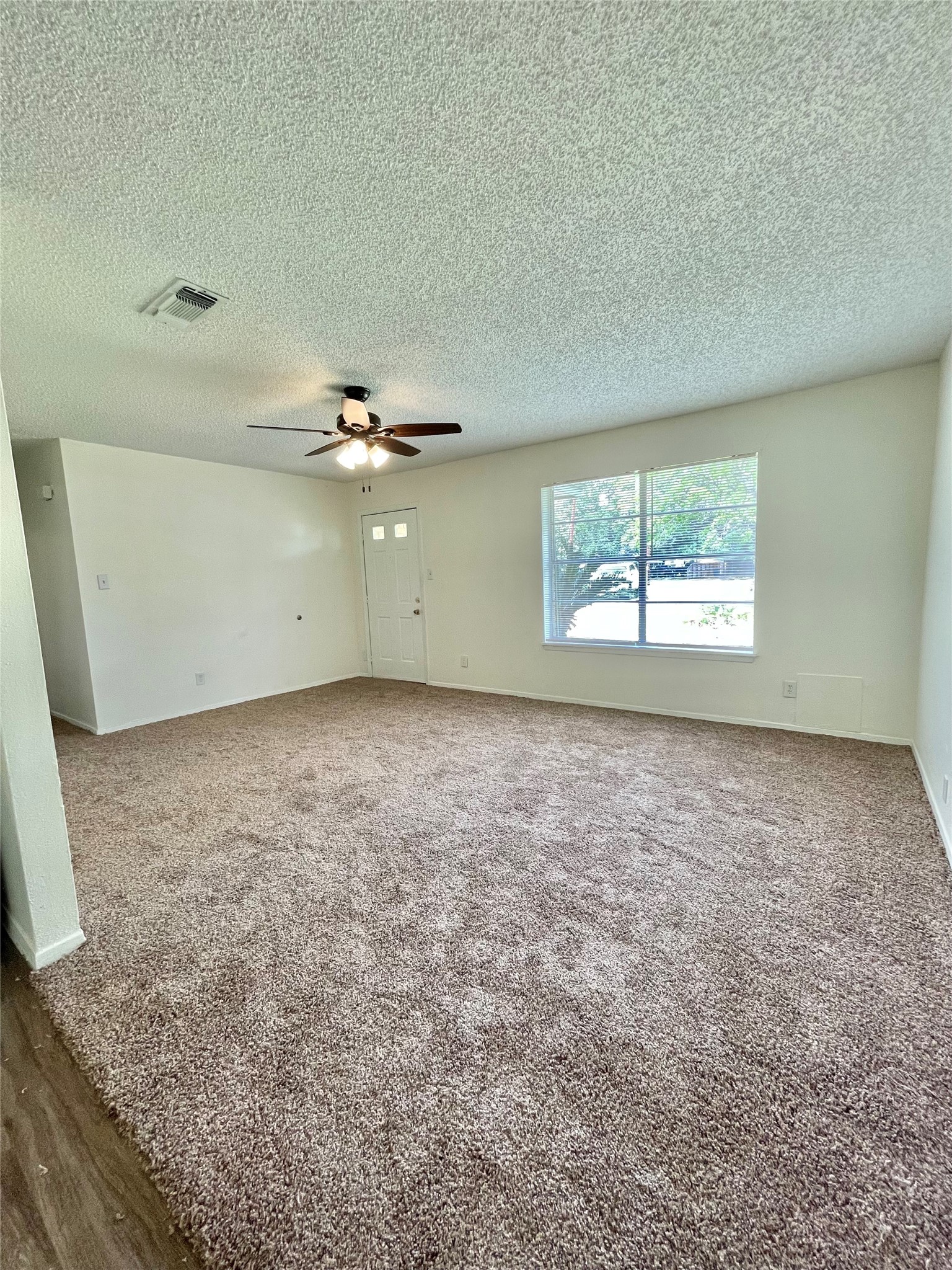 119 Stanford Street Property Photo 3