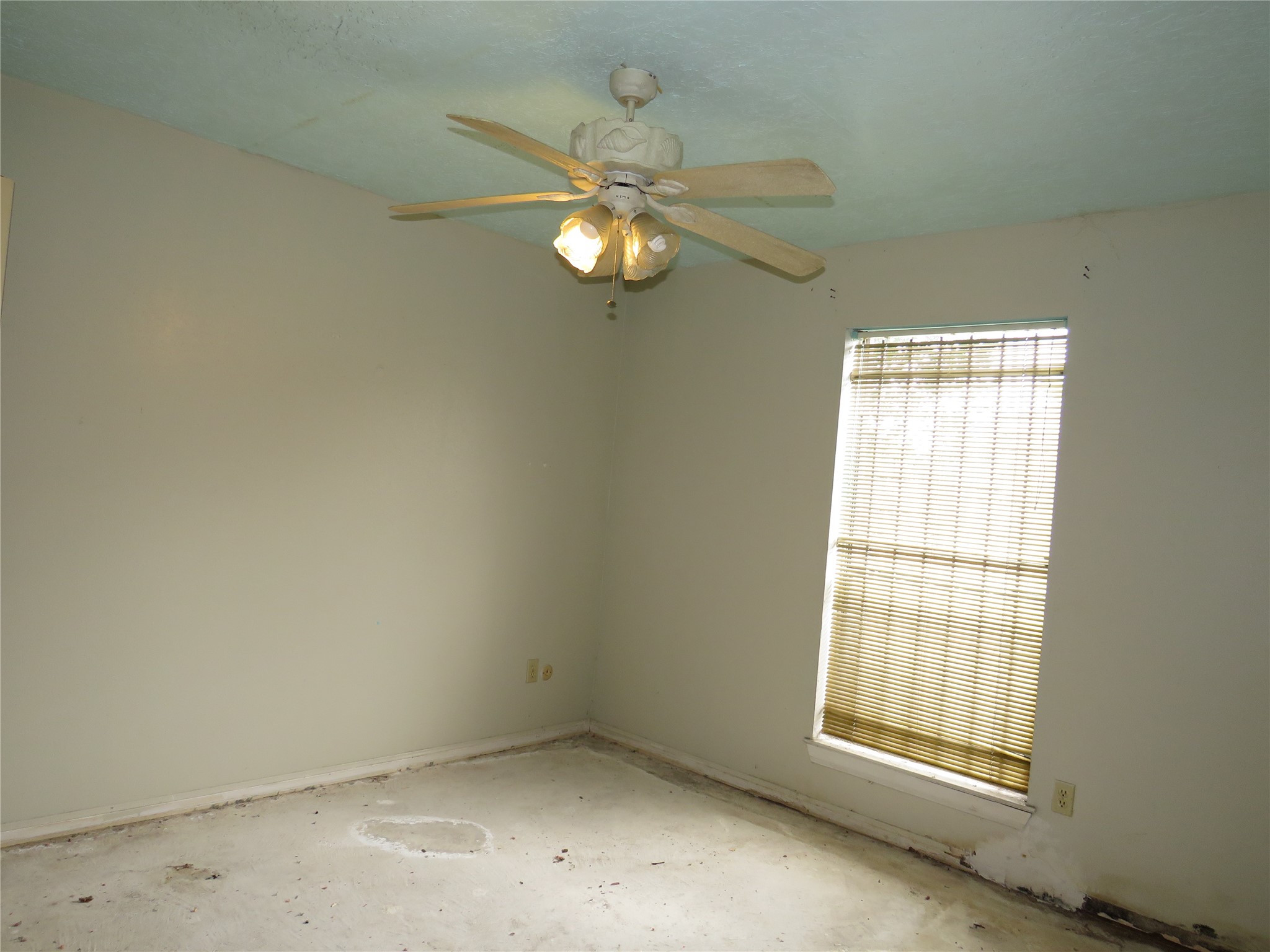 11718 Coachfield Lane Property Photo 10