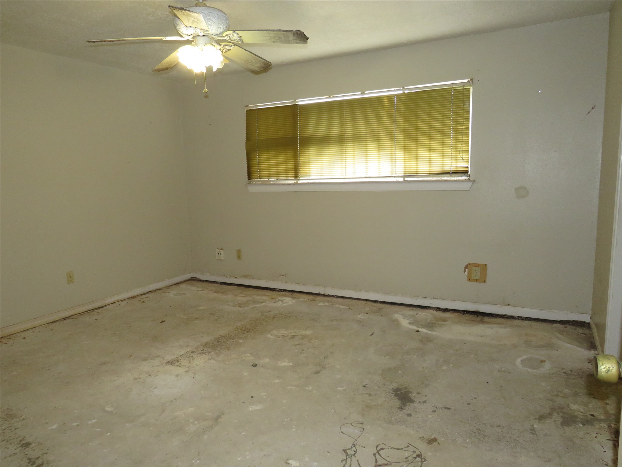 11718 Coachfield Lane Property Photo 12