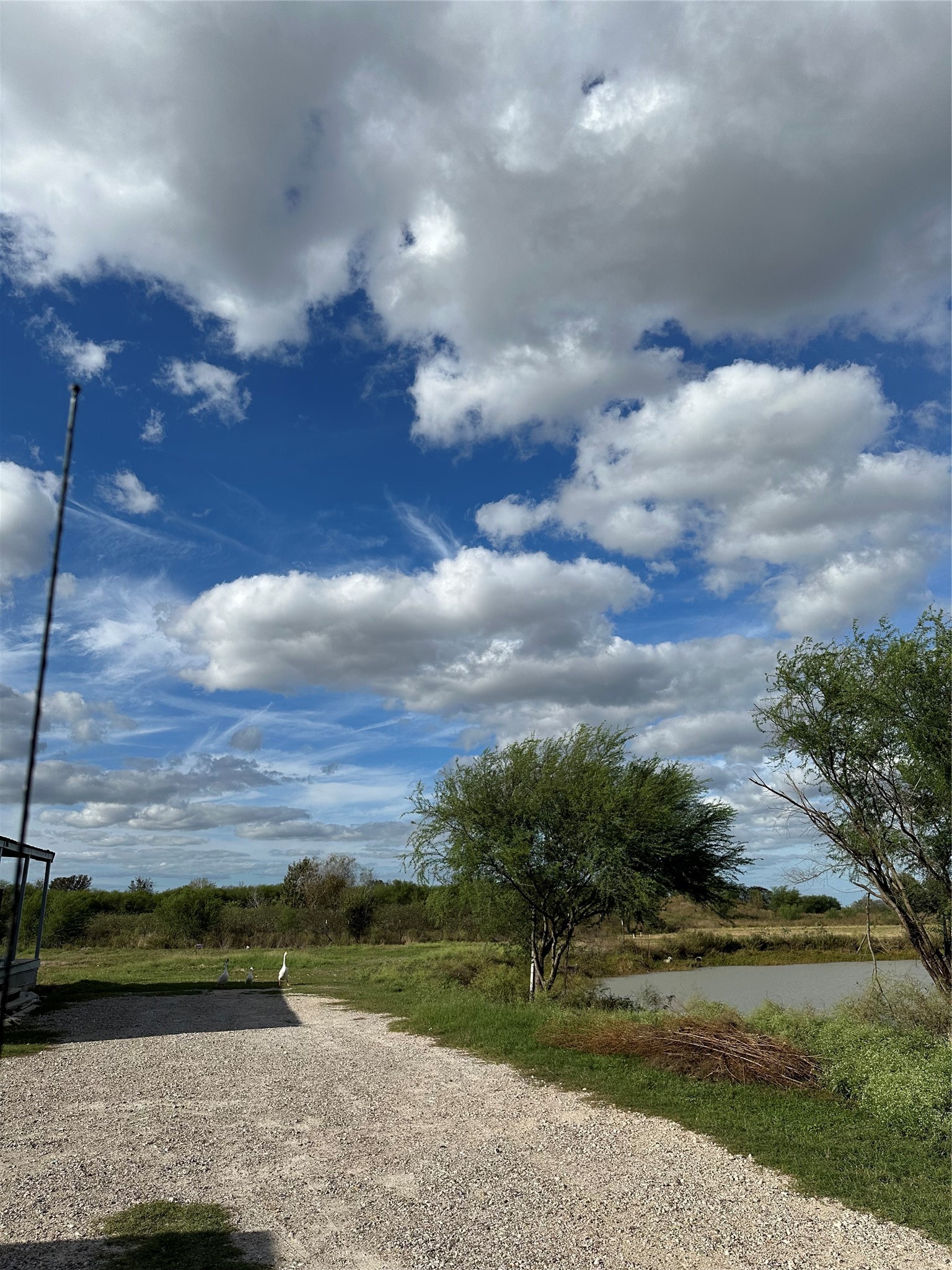2134 Fm 1875 Property Photo 2
