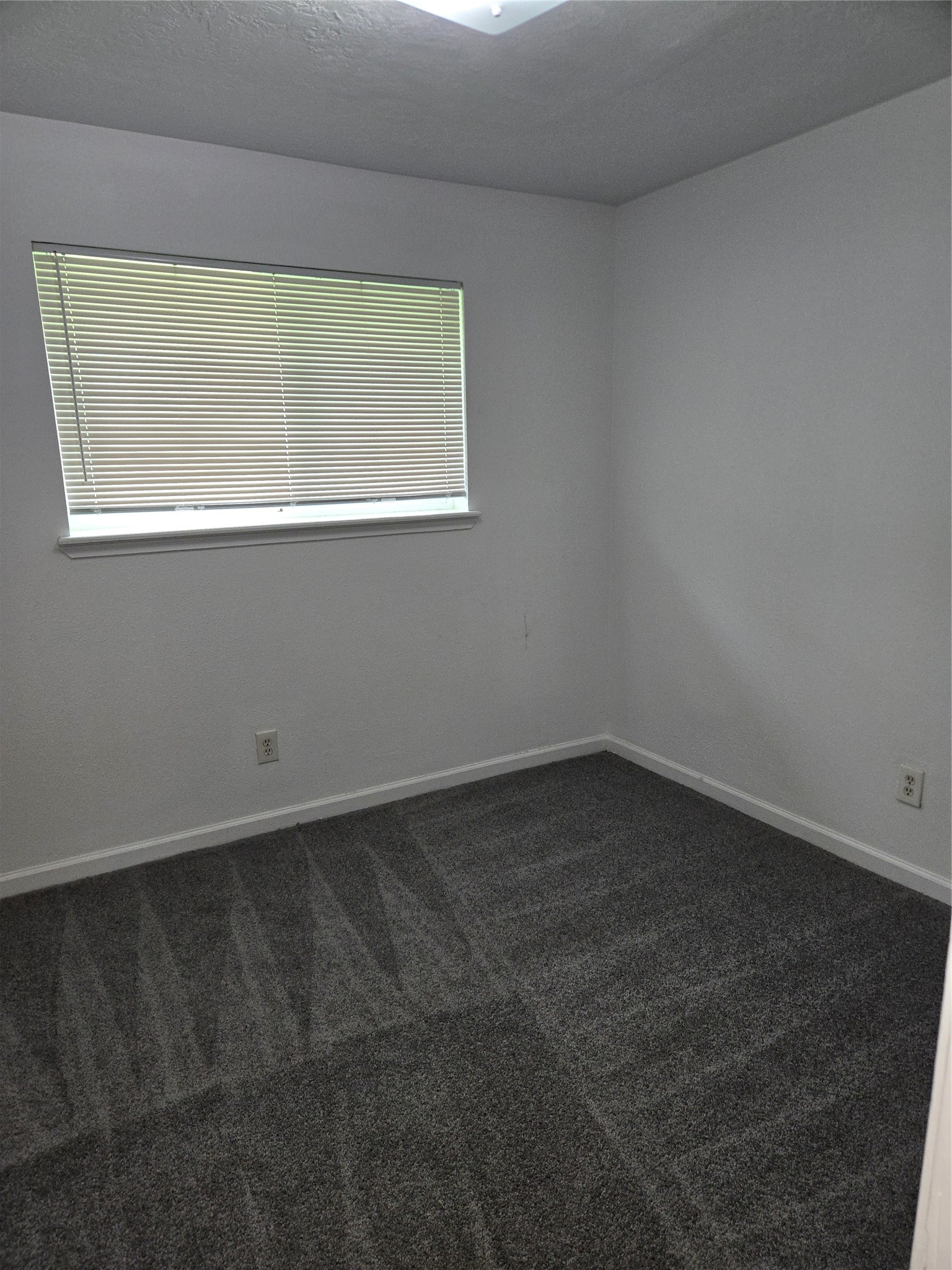 7119 Pittswood Lane Property Photo 17