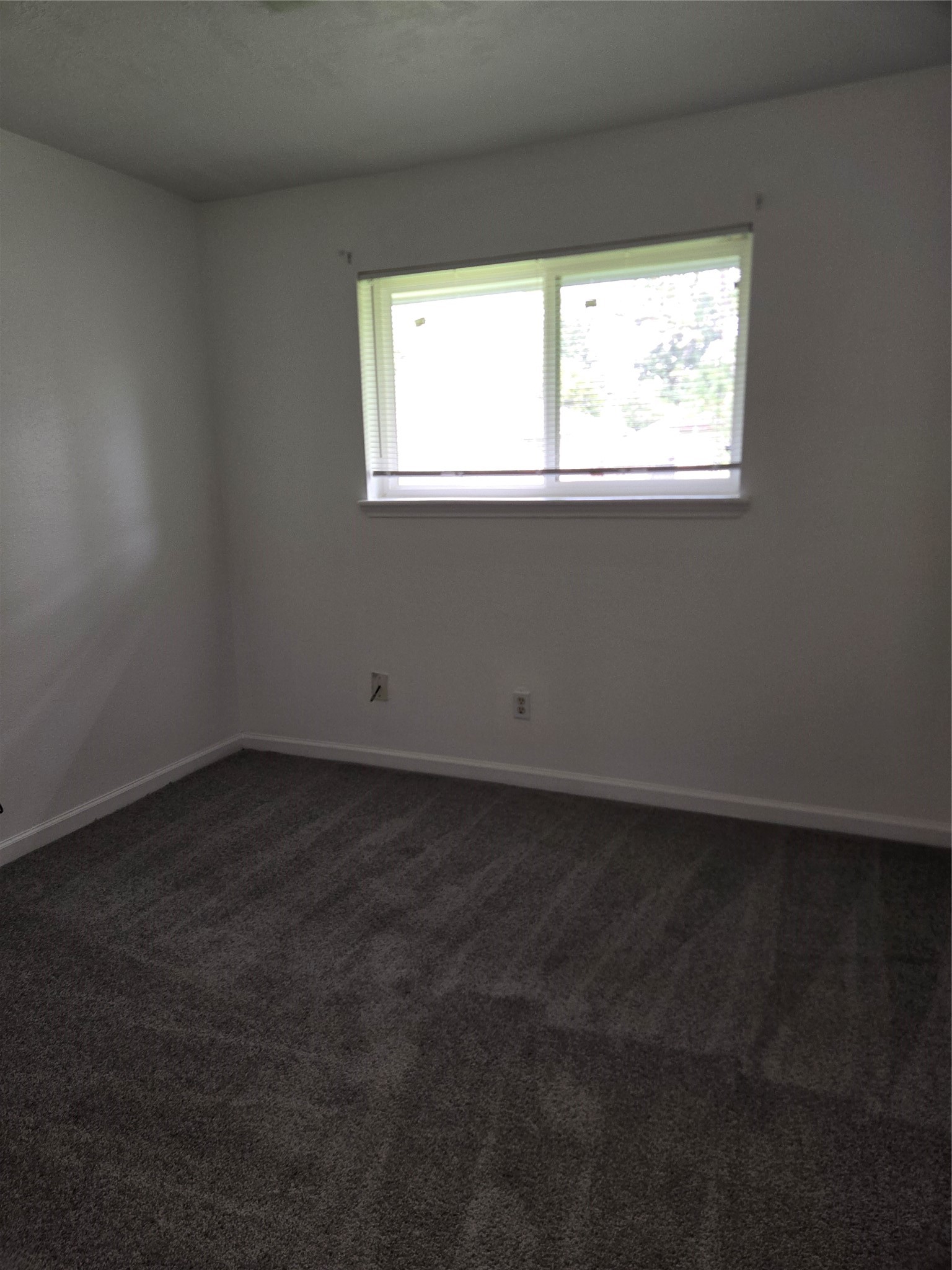 7119 Pittswood Lane Property Photo 20