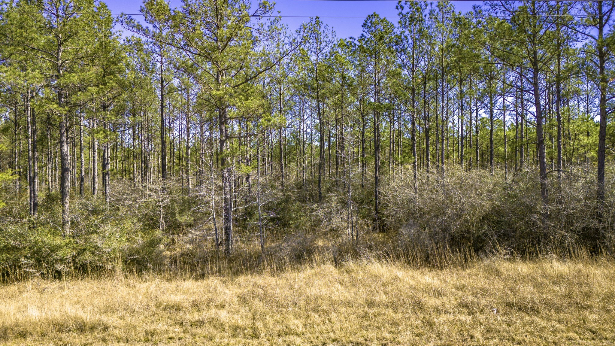 048 Fm 3459 Road Property Photo 6