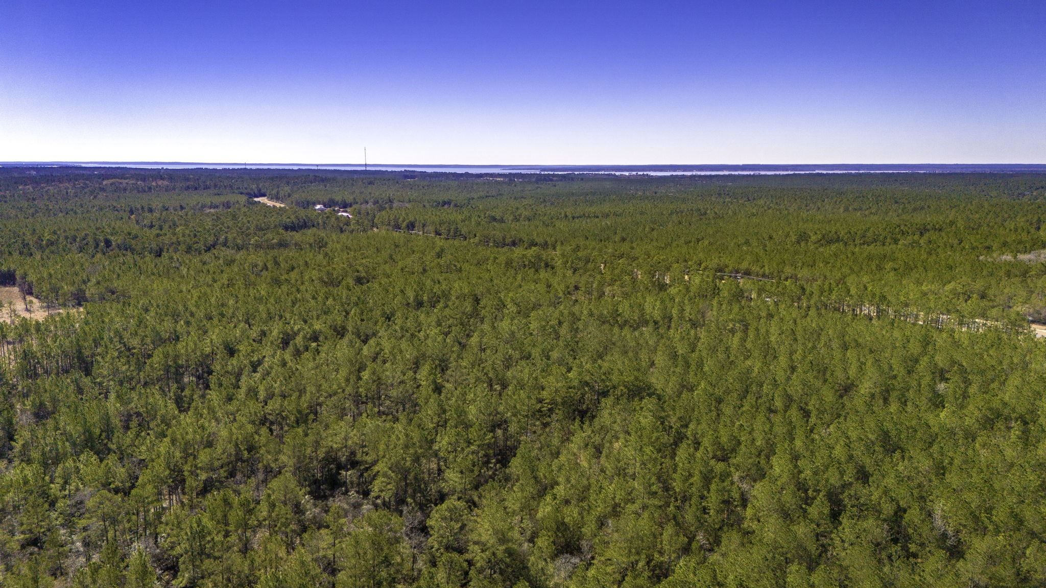 048 Fm 3459 Road Property Photo 9