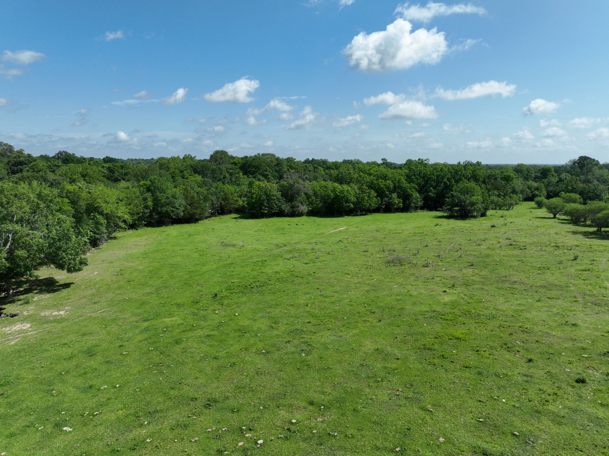 8566 Equestrian Lane Property Photo 4