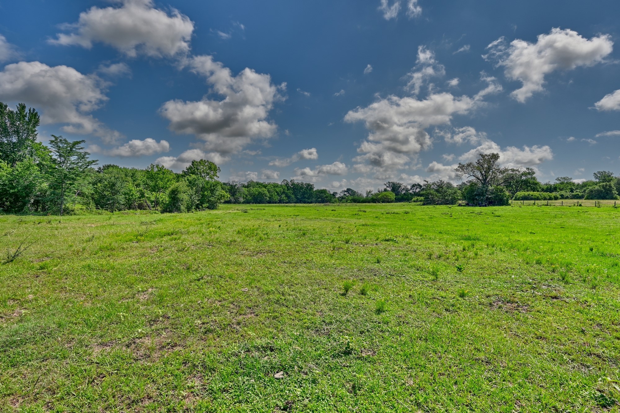 8566 Equestrian Lane Property Photo 7