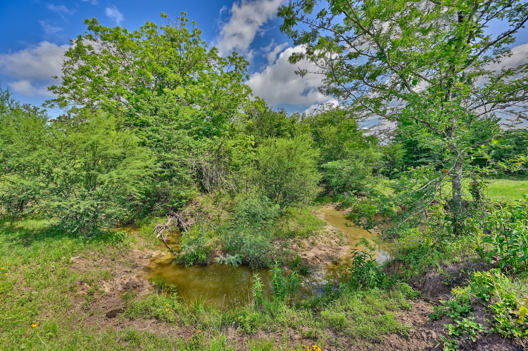 8566 Equestrian Lane Property Photo 9