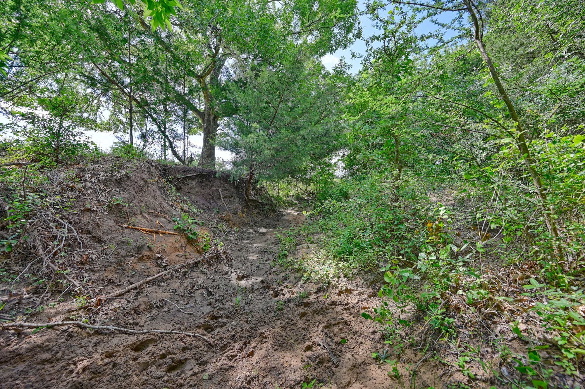 8566 Equestrian Lane Property Photo 13