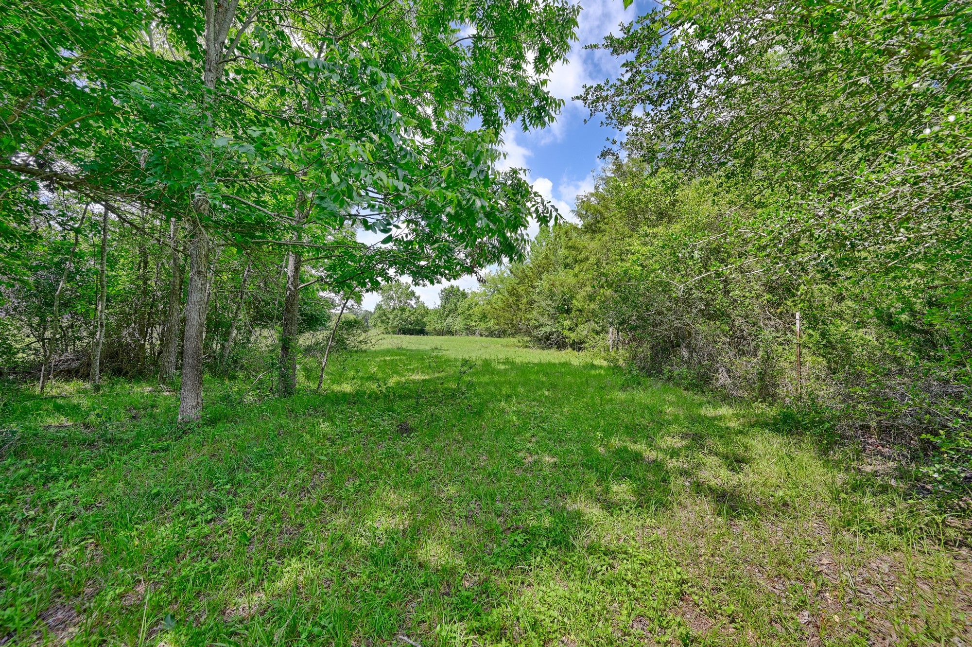 8566 Equestrian Lane Property Photo 15