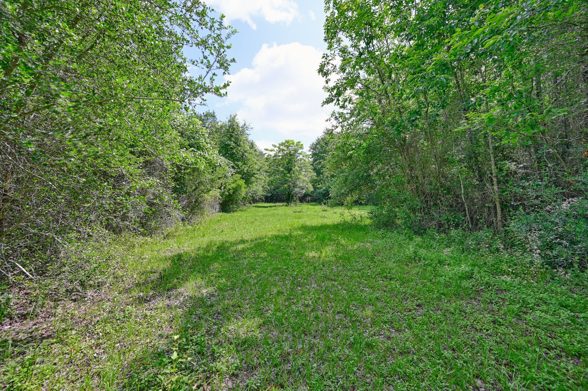 8566 Equestrian Lane Property Photo 16