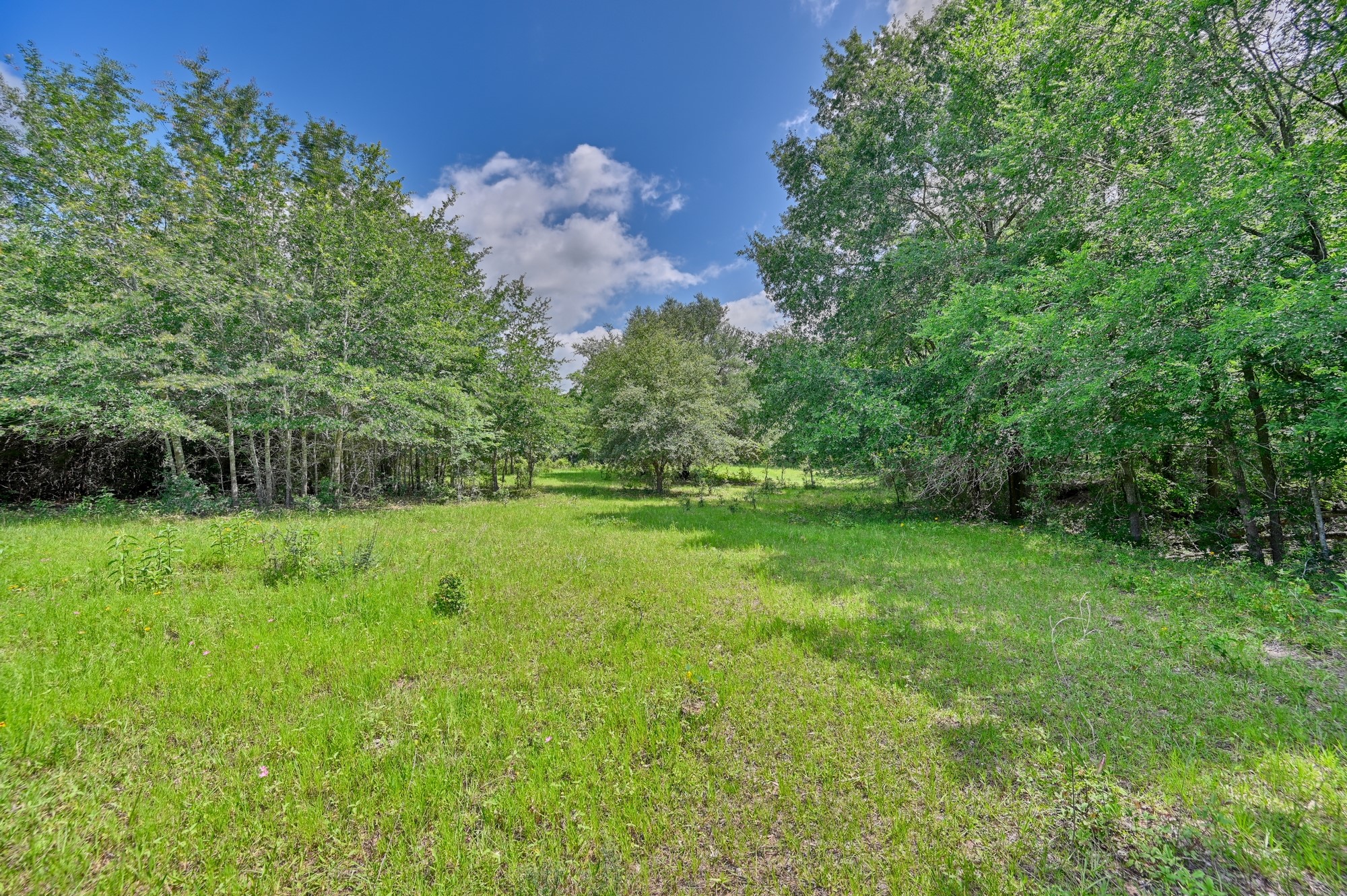 8566 Equestrian Lane Property Photo 17