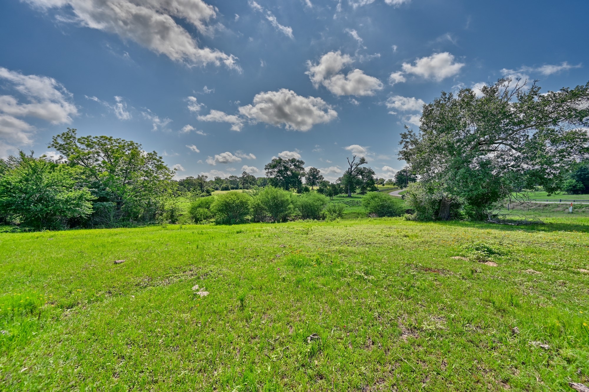 8566 Equestrian Lane Property Photo 18