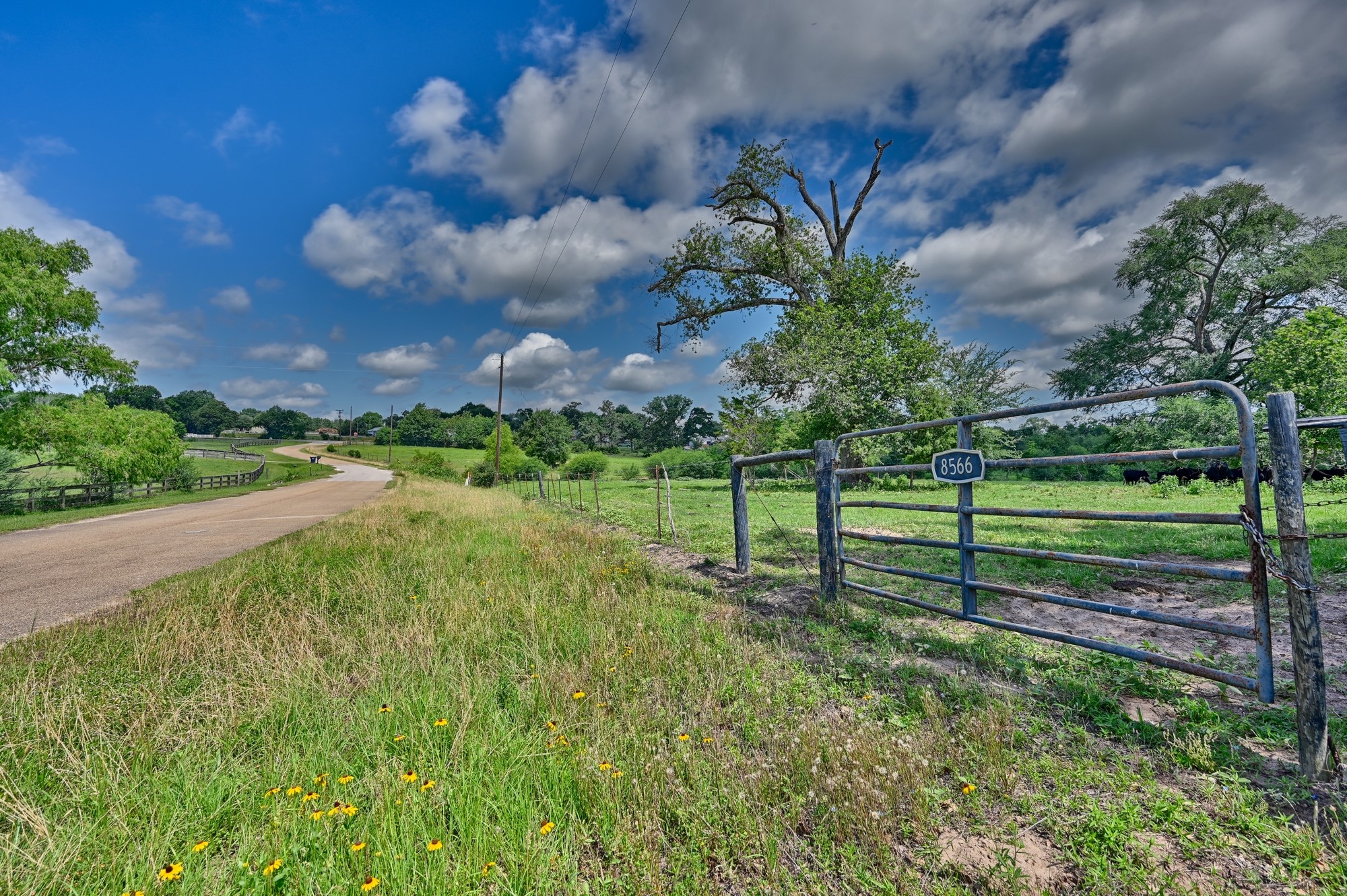 8566 Equestrian Lane Property Photo 20