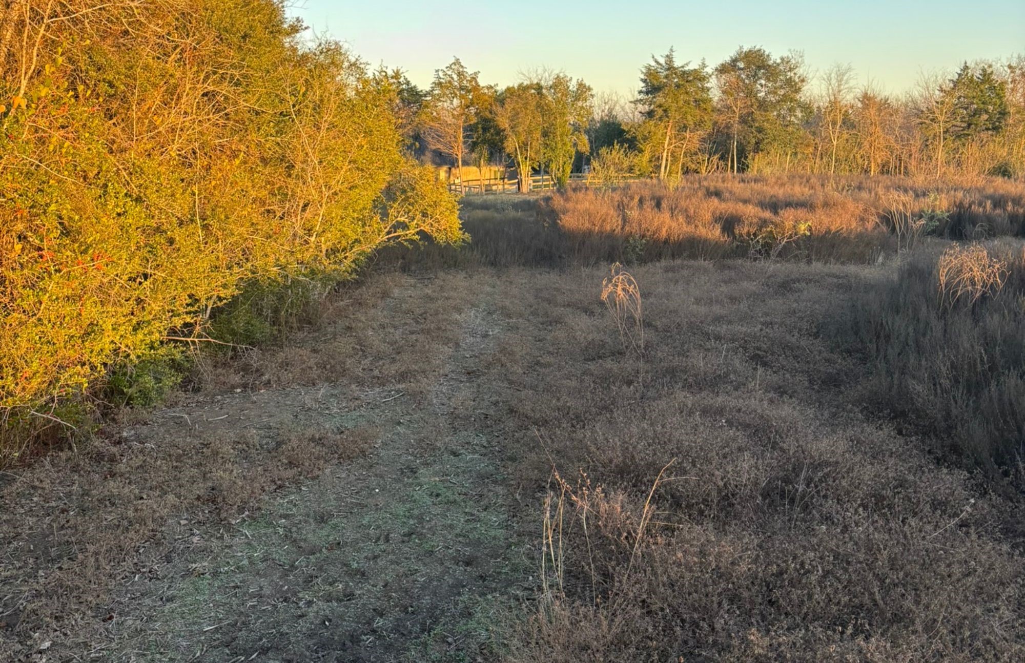 Lot 26 Winding Branch Property Photo 1