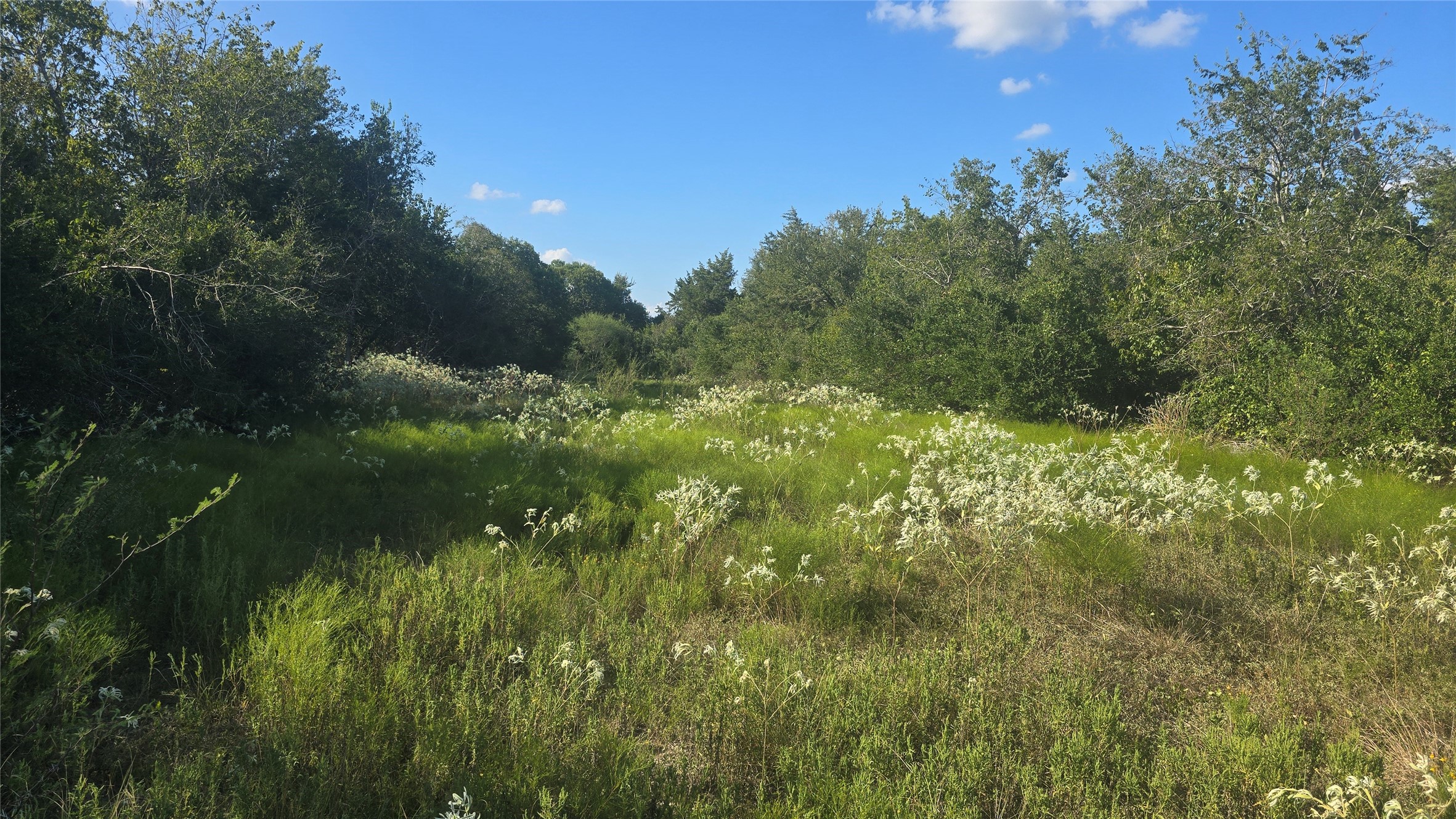 Lot 26 Winding Branch Property Photo 4