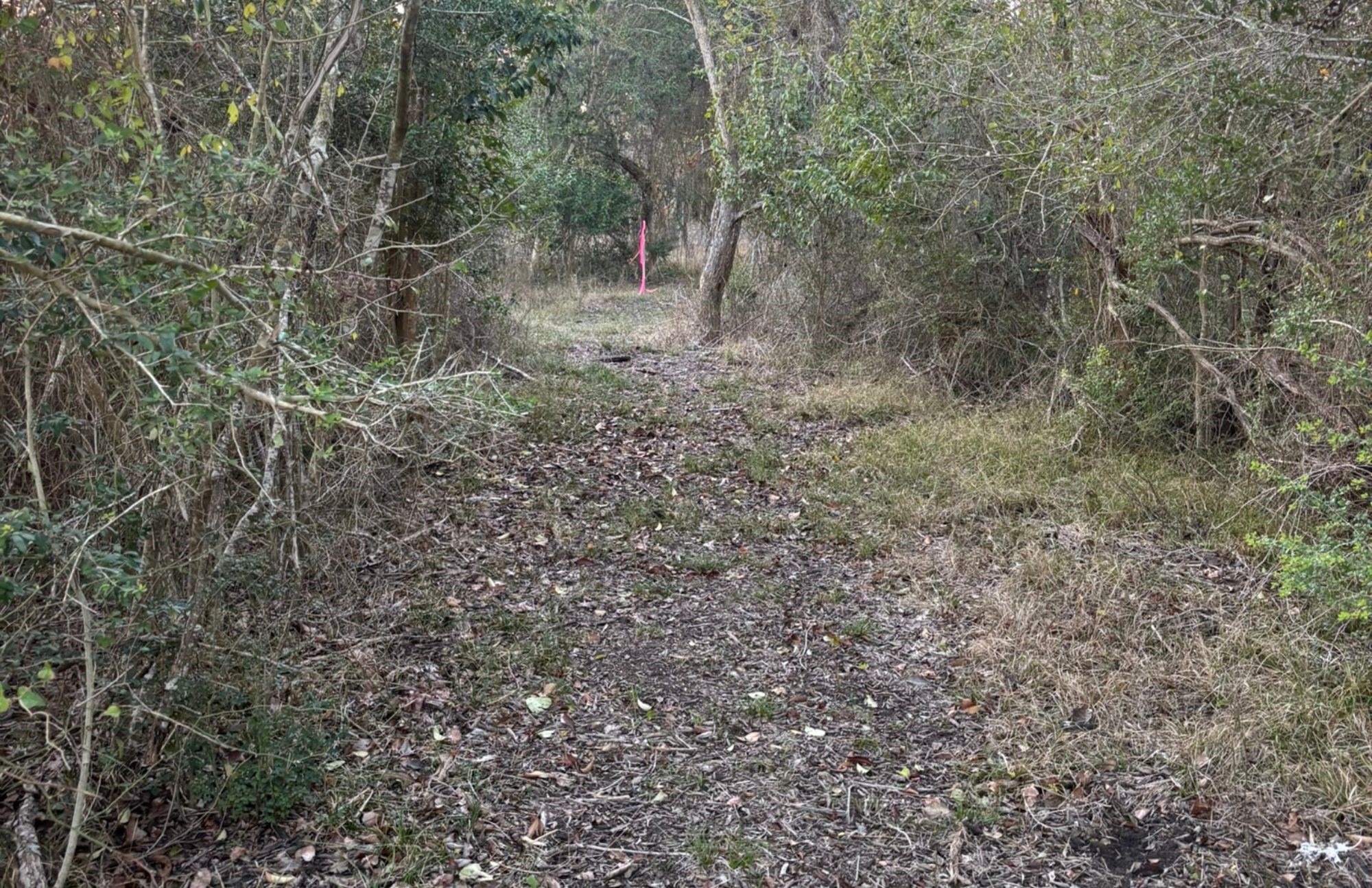 Lot 26 Winding Branch Property Photo 5