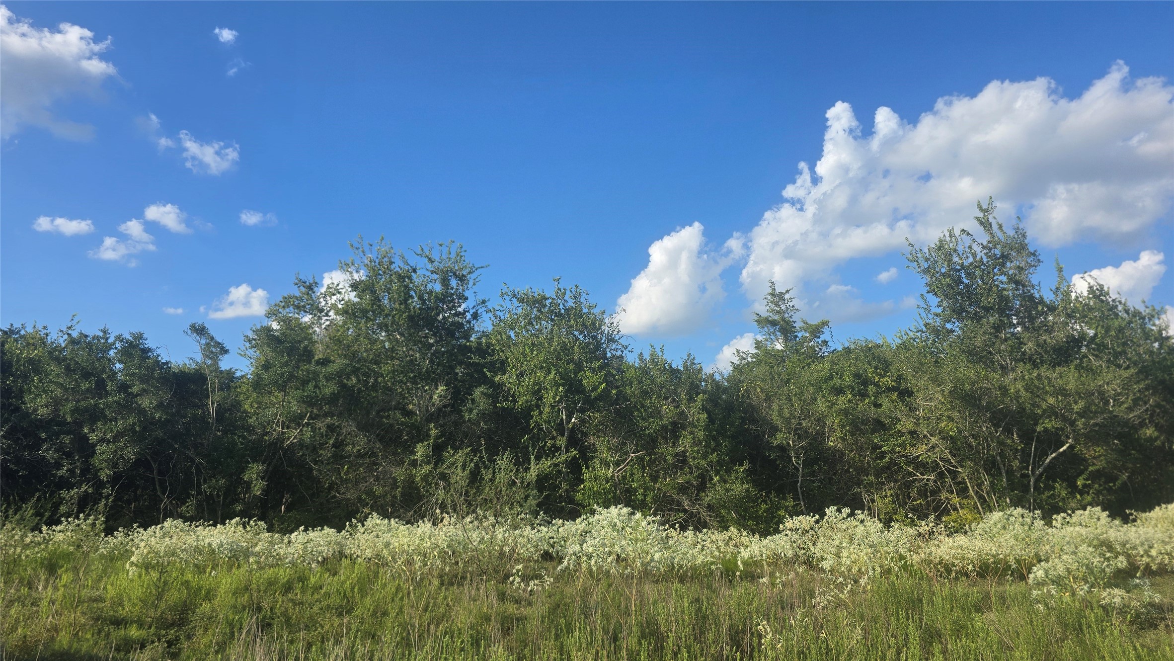 Lot 26 Winding Branch Property Photo 5